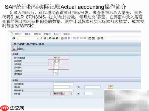 SAP实际记账操作指南