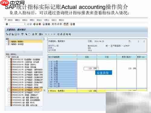 SAP实际记账操作指南