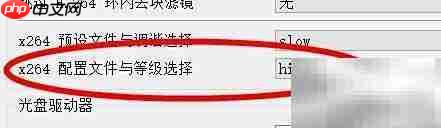 VLC中x264选high422配置