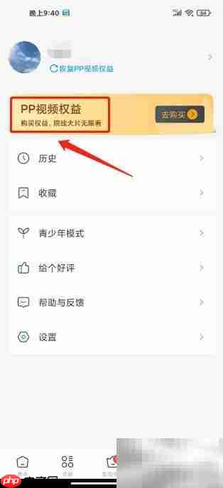 影视大全WTV开通PP视频指南