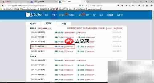 UEditor配置使用指南