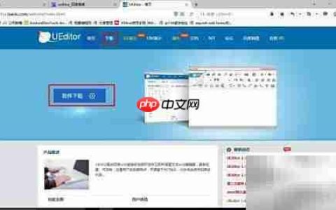 UEditor配置使用指南