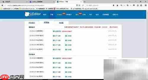 UEditor配置使用指南