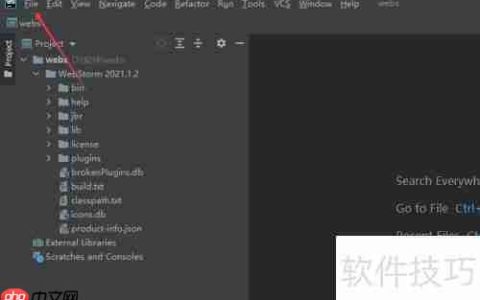 WebStorm关闭脚本语言方法