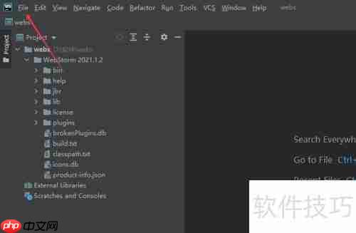 WebStorm关闭脚本语言方法