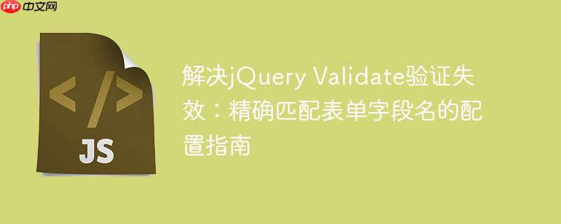 解决jQuery Validate验证失效:精确匹配表单字段名的配置指南