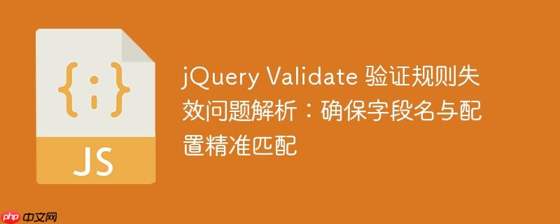 jQuery Validate 验证规则失效问题解析：确保字段名与配置精准匹配