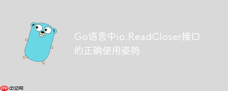 Go语言中io.ReadCloser接口的正确使用姿势
