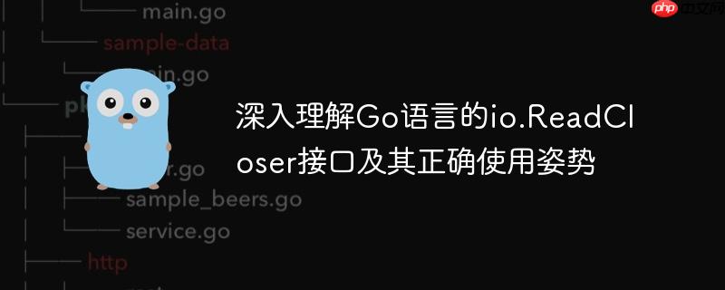 深入理解Go语言的io.ReadCloser接口及其正确使用姿势