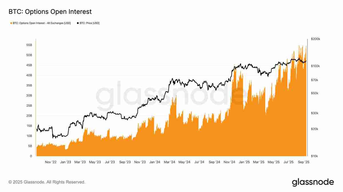 一文了解比特币重回 11.5 万美元:接下来关注这些 BTC 价格水平