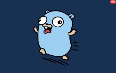 Golang使用WSL环境搭建实践方法