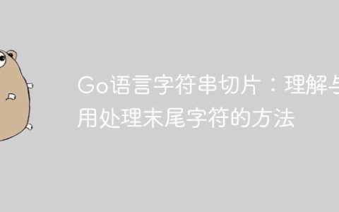 Go语言字符串切片：理解与惯用处理末尾字符的方法