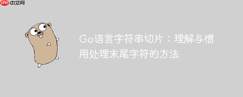 Go语言字符串切片:理解与惯用处理末尾字符的方法