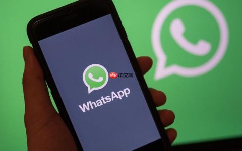 WhatsApp国际版免费使用-WhatsApp多语言版中文官网指南