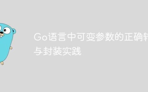 Go语言中可变参数的正确转发与封装实践