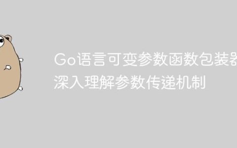 Go语言可变参数函数包装器：深入理解参数传递机制