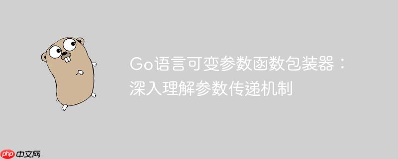 Go语言可变参数函数包装器:深入理解参数传递机制