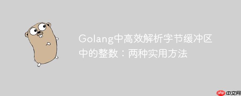 Golang中高效解析字节缓冲区中的整数:两种实用方法