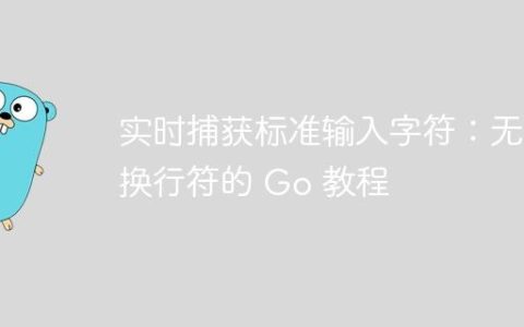 实时捕获标准输入字符：无需换行符的 Go 教程