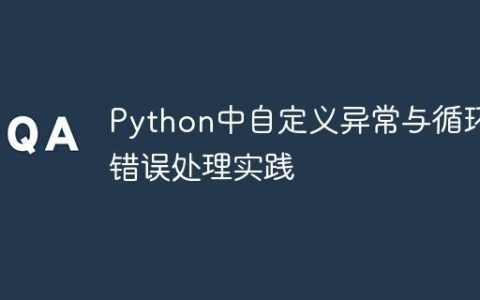 Python中自定义异常与循环内错误处理实践