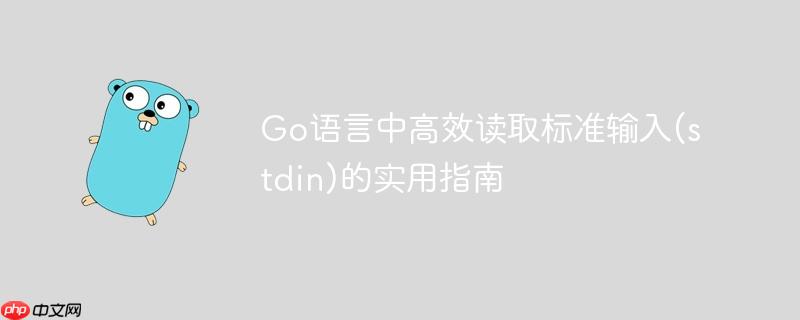 Go语言中高效读取标准输入(stdin)的实用指南