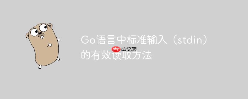 Go语言中标准输入(stdin)的有效读取方法