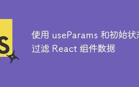使用 useParams 和初始状态过滤 React 组件数据