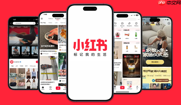 小红书网页版怎么调整字体_小红书网页版页面显示大小设置教程