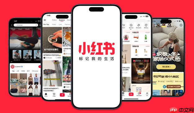 小红书网页版怎么收藏笔记_小红书网页版收藏夹管理与分类技巧