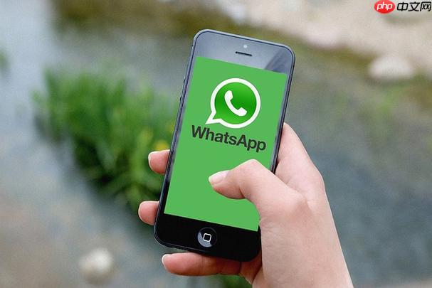 WhatsApp安卓版官方下载-WhatsApp最新版本中文官网安装
