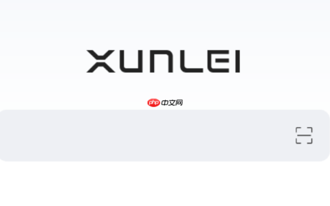 qq电脑版浏览器 迅雷下载不了东西怎么办