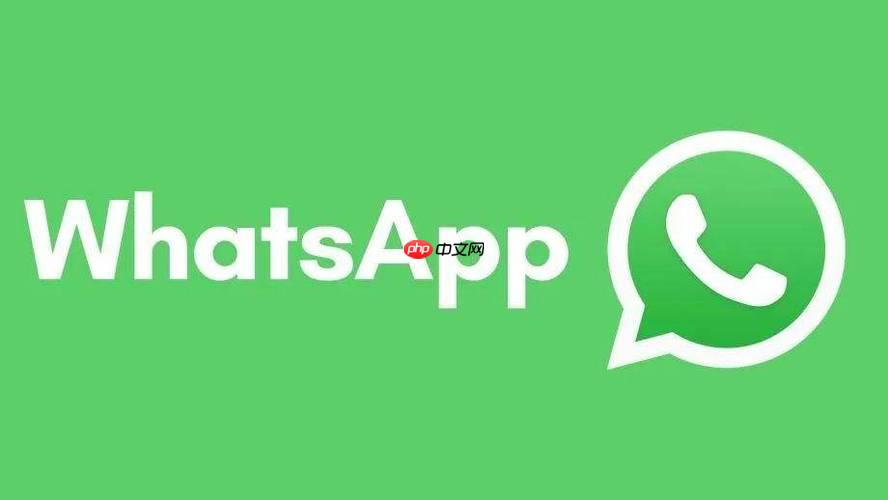 WhatsApp Business商务版入口-WhatsApp企业版中文官网下载