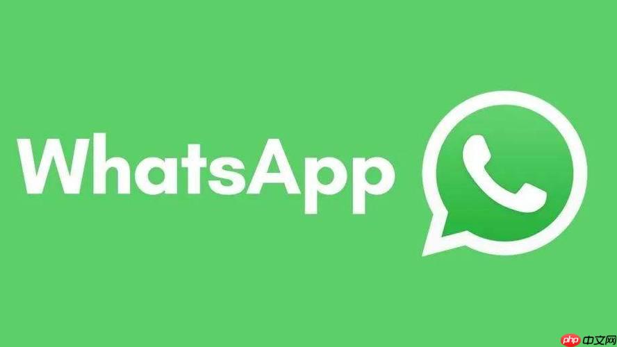 WhatsApp隐藏功能大揭秘-WhatsApp高级技巧中文官网分享