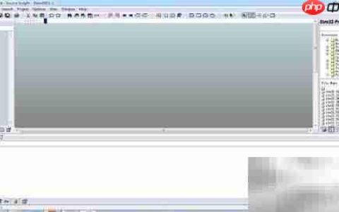 Source Insight字体大小设置