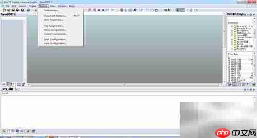 Source Insight字体大小设置