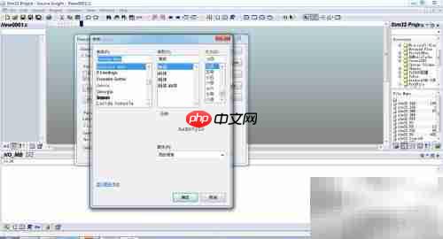 Source Insight字体大小设置