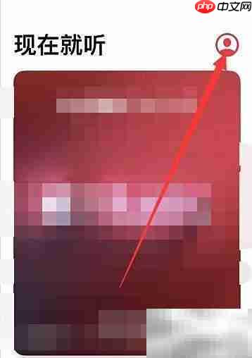 Apple Music点数充值指南