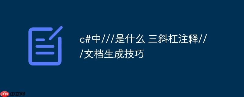c#中///是什么 三斜杠注释///文档生成技巧
