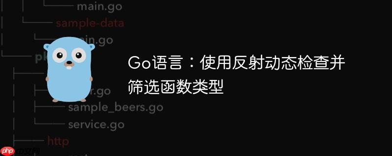 Go语言：使用反射动态检查并筛选函数类型