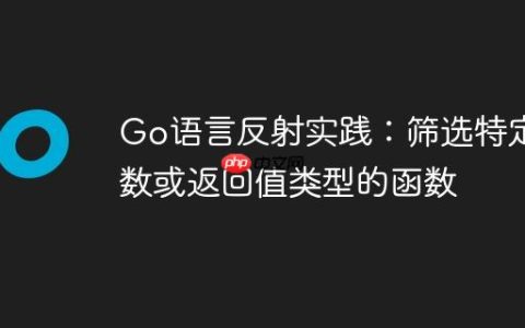 Go语言反射实践：筛选特定参数或返回值类型的函数