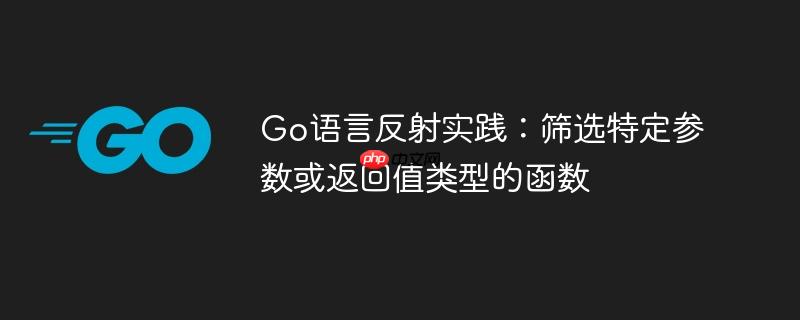 Go语言反射实践:筛选特定参数或返回值类型的函数
