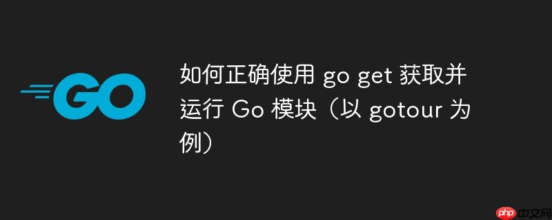 如何正确使用 go get 获取并运行 Go 模块(以 gotour 为例)