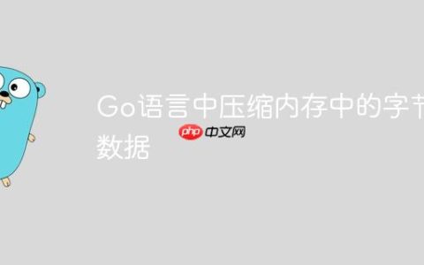 Go语言中压缩内存中的字节数据