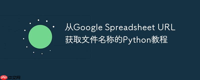 从Google Spreadsheet URL获取文件名称的Python教程