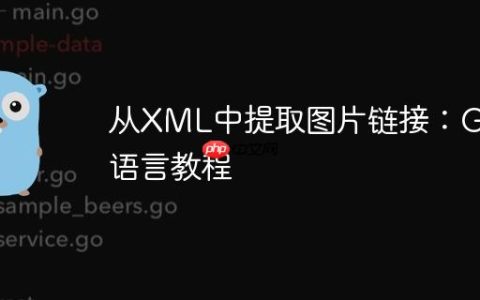从XML中提取图片链接：Go语言教程