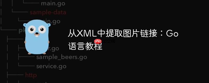 从xml中提取图片链接:go语言教程