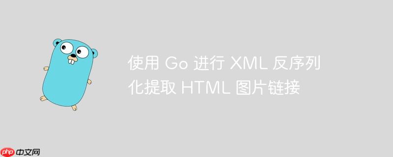 使用 go 进行 xml 反序列化提取 html 图片链接