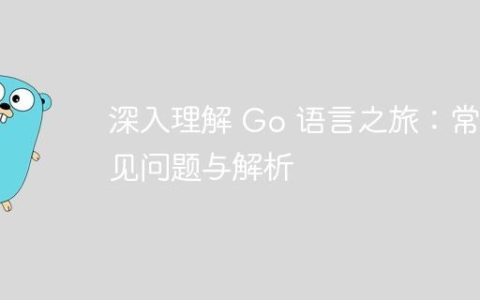 深入理解 Go 语言之旅：常见问题与解析