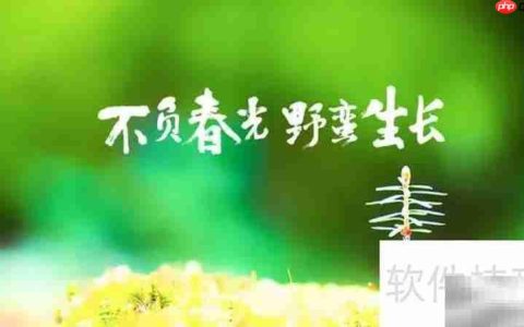 不负春光，邂逅最美时光