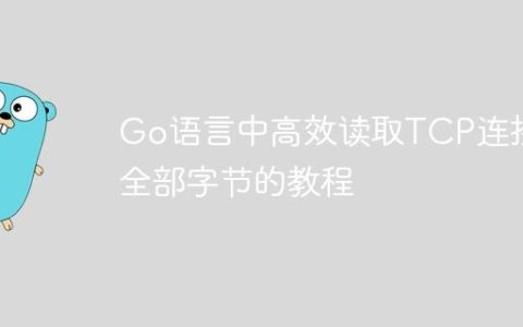 Go语言中高效读取TCP连接全部字节的教程